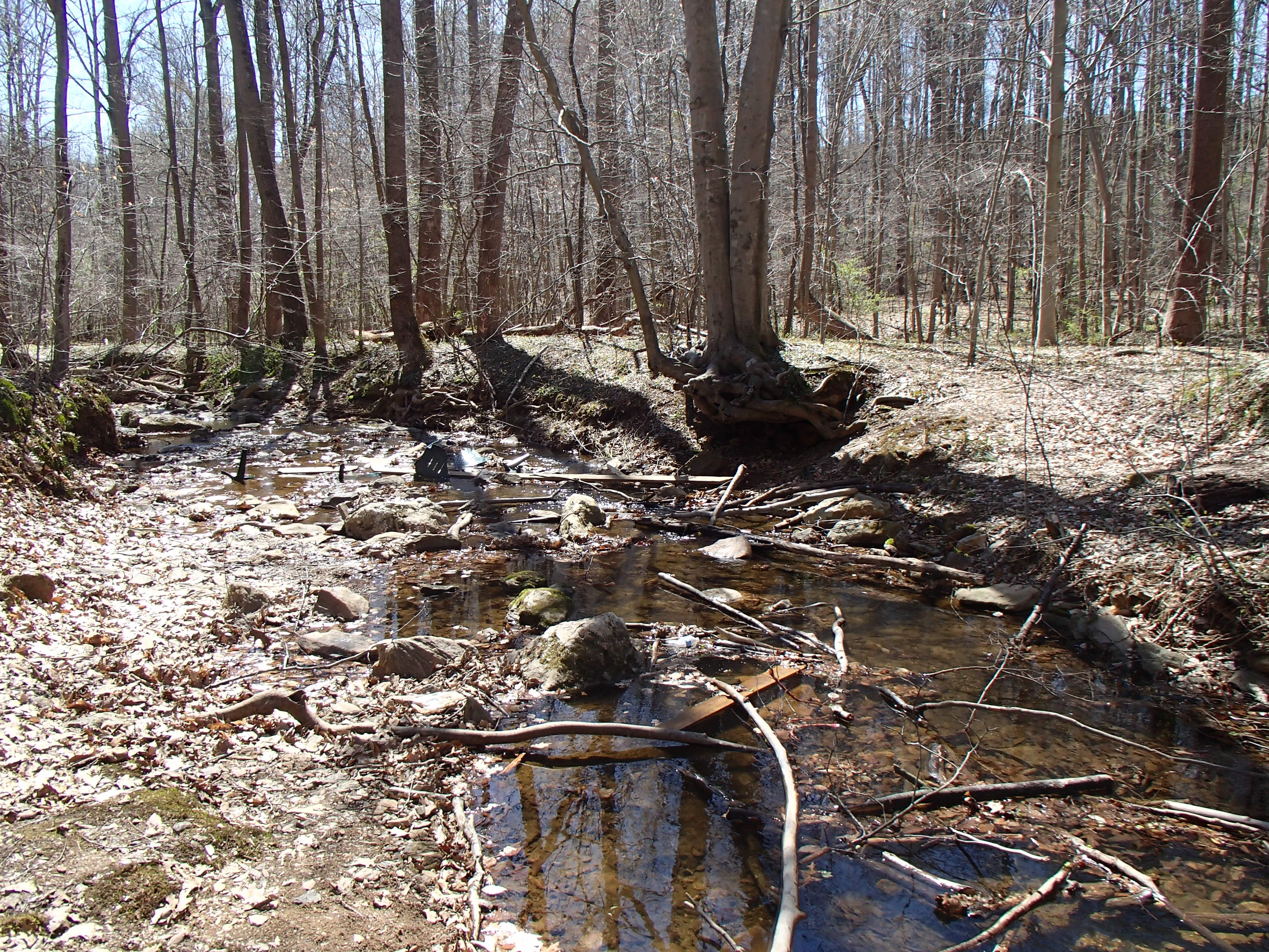 Field photo showing stream conditions at site LWIN-108-X-2016_Midpoint looking downstream
